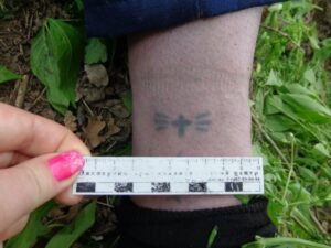 Под Волгоградом в лесном массиве обнаружен труп