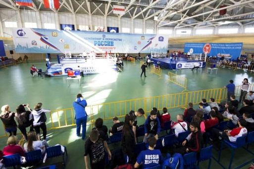 Волгоградские кикбоксёры завоевали в Омске 8 наград