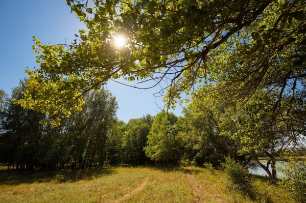 МЧС предупредило волгоградцев о 42-градусной жаре