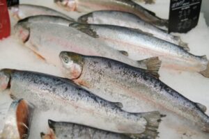 Волгоградцам предложили соблюдать законы при производстве рыбы