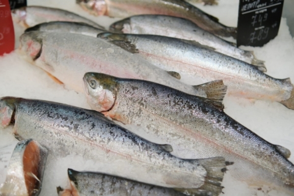 Волгоградцам предложили соблюдать законы при производстве рыбы