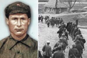 Внучка узнала, что ее без вести пропавший дед погиб под Сталинградом