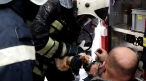 Волгоградские спасатели вернули к жизни кота, пострадавшего в пожаре − видео