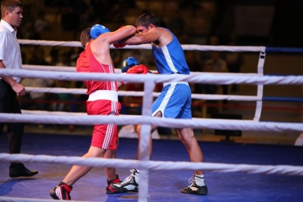 Волгоградских боксеров приглашают на турнир в Калмыкию