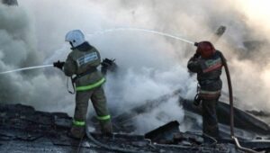 При пожаре под Волгоградом пострадали 2 человека