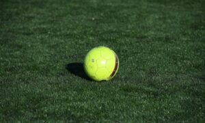 Фанаты «Ротора» решили прийти на матч в необычных нарядах