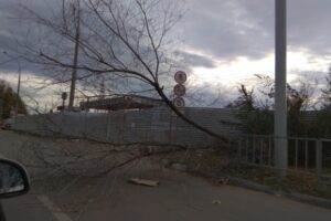 Последствия сильного ветра устраняют в Волгограде