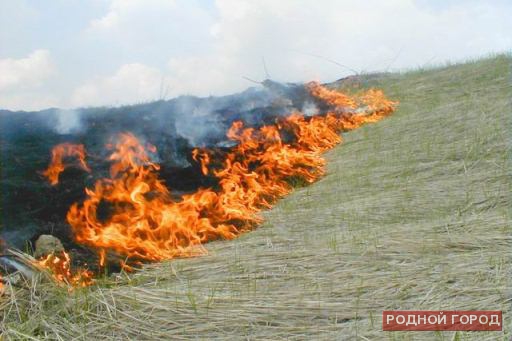 В Волгоградской области горела трава на площади 200 гектаров