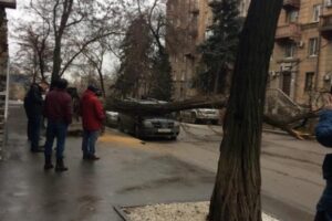 В Волгограде дорожники устраняют последствия ураганного ветра