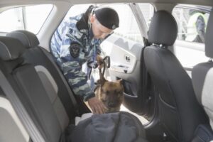 Под Волгоградом задержали лжетеррориста