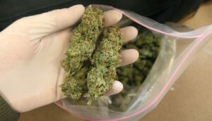 Житель Волгоградской области задержан с пакетом марихуаны