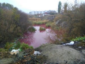 Специалисты взяли пробы воды из «розового» озера в Волгограде