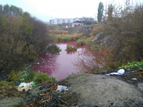 Специалисты взяли пробы воды из «розового» озера в Волгограде