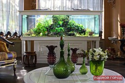 Волгоградец лишился двухметрового аквариума из-за долга