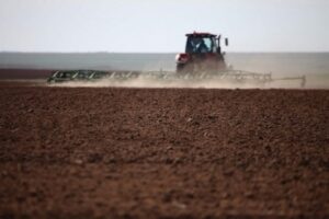 Волгоградские сельхозкооперативы получат больше поддержки