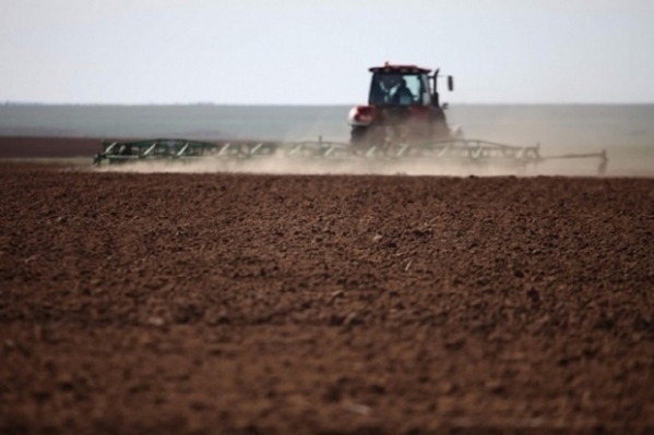 Волгоградские сельхозкооперативы получат больше поддержки