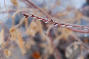 В Волгоградской области ожидается похолодание ночью 2 мая