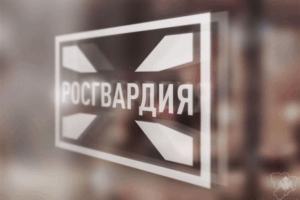 В Волгограде росгвардейцы задержали двух грабителей