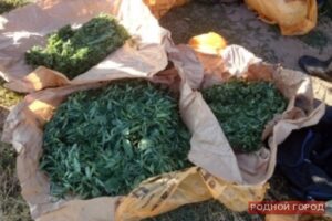 Набитую марихуаной «Ниву» задержали в Волгоградской области