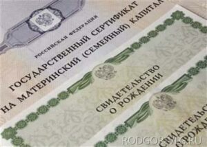 В Волгограде раскрыта серия мошенничеств с материнским капиталом