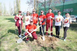 Волжские пивовары вышли на субботник и высадили 200 деревьев