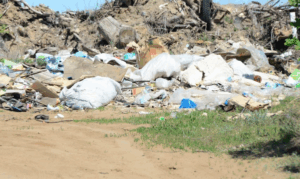 С четырех стихийных свалок в Волгограде вывезут более 1800 тонн мусора