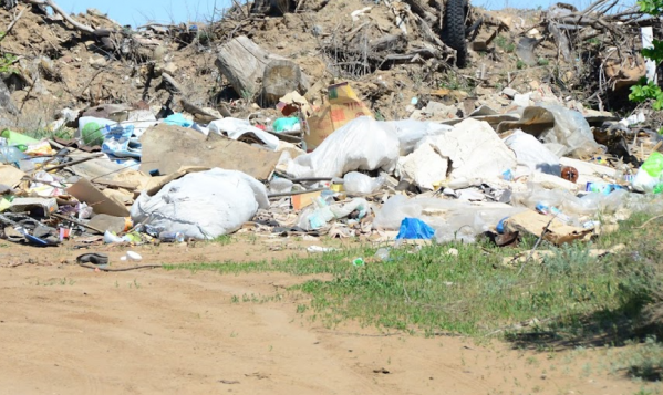 С четырех стихийных свалок в Волгограде вывезут более 1800 тонн мусора