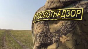 Двух охотников из Нехаевского района накажут за незаконную охоту на лис