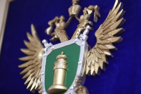 Житель Волгоградской области идет под суд за обман женщин в сети Интернет
