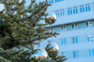 Волгоградцы стали чаще сдавать новогодние елки в переработку