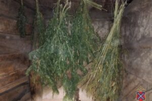 Около 2 кг наркотиков изъяли правоохранители у жителя Волгоградской области