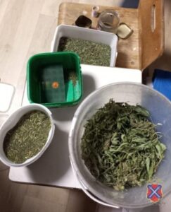 Под Волгоградом полицейские предотвратили сбыт крупной партии наркотика