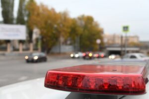 В Волгограде нашли безымянную могилу с детской игрушкой и гвоздиками