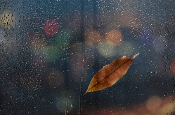 Потепление до +9 продержится в Волгоградской области до конца недели