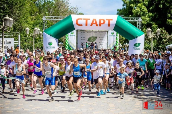 В Поволжском банке удвоилось количество участников «Зеленого марафона»