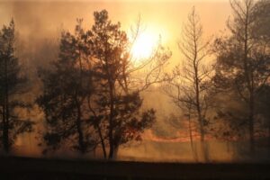 В Волгоградской области ликвидировали крупный пожар