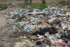 В Волгоградской области названы самые замусоренные территории