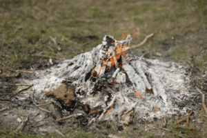 Кинологи напомнили владельцам собак о пожарной безопасности
