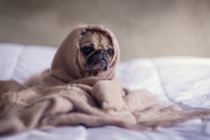 Шесть признаков того, что вы не высыпаетесь