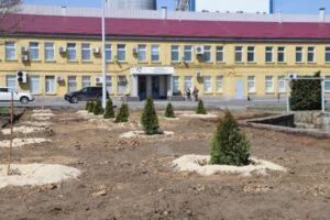 В Волгограде набирает обороты «Зеленая волна» РУСАЛа