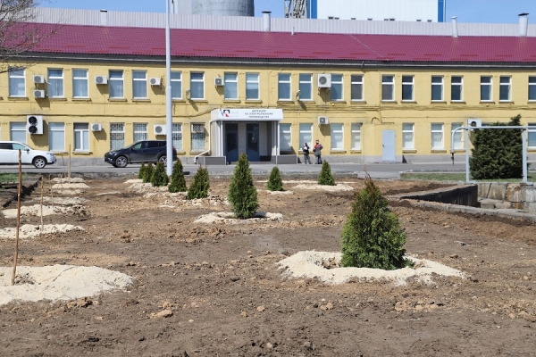 В Волгограде набирает обороты «Зеленая волна» РУСАЛа