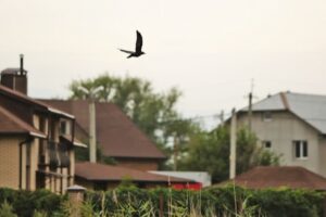 Волгоградцам объяснили, как избежать долгов за электричество