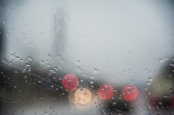 В Волгоградской области 25 мая ожидаются дожди при +24°С