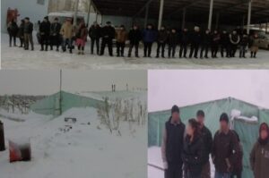 В Дубовском районе на полях работали 22 нелегала из Китая и Узбекистана
