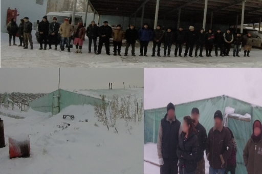В Дубовском районе на полях работали 22 нелегала из Китая и Узбекистана