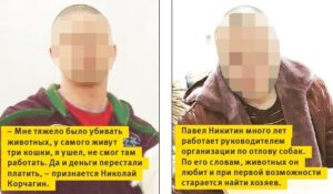 Волгоградец попал в федеральный перечень живодеров