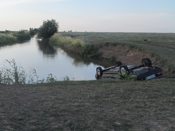 Под Волгоградом братья утонули в оросительном канале