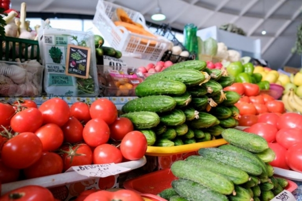 В Волгограде выявили продажу семян без регистрации