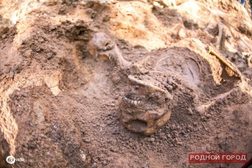 В Волгоградской области откопали человеческие останки