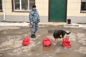 Молодая наркобаронесса предстанет перед судом в Волгограде